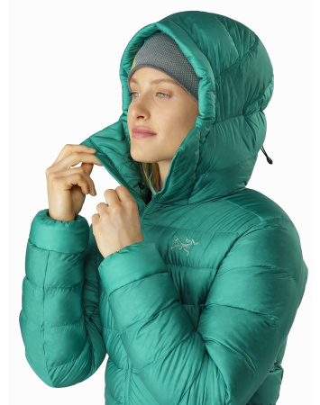 Куртка ARCTERYX Cerium SV Hoody