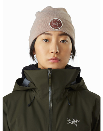 Шапка ARCTERYX Bird Patch Toque