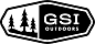 GSI GSI