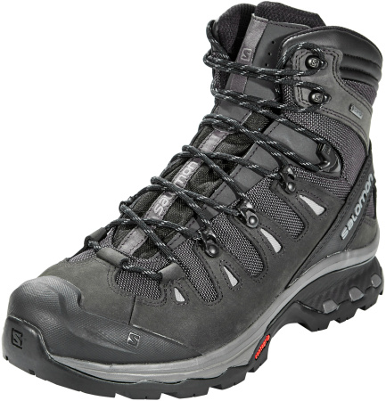 Ботинки SALOMON QUEST 4D 3 GTX