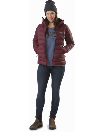 Футболка ARCTERYX Archaeopteryx LS