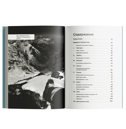 Белое одиночество. Мой долгий путь на Нанга-Парбат