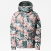 Куртка The North Face PRINTED SIERRA PARKA