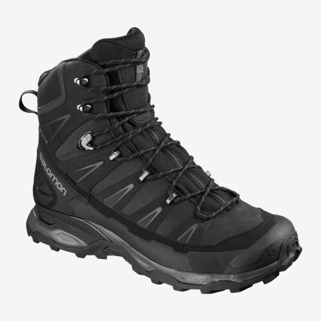 Ботинки SALOMON X ULTRA TREK GTX