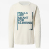 Футболка THE NORTH FACE Seasonal Long-Sleeve