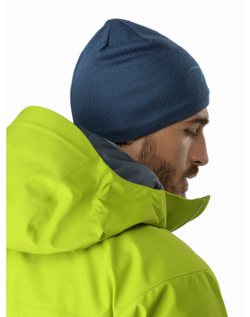 Шапка ARCTERYX Bird Head Toque