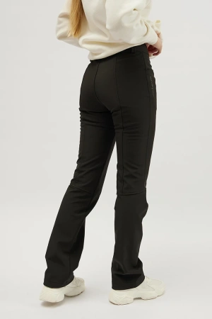 Брюки Stayer Soft shell