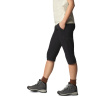 Бриджи Mountain HardWear Dynama/2 Capri