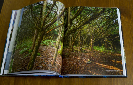 Рундквист Н. Фотоальбом Чудеса Приморья Рундквист Н. Фотоальбом Чудеса Приморья