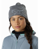 Шапка ARCTERYX Bird Head Toque