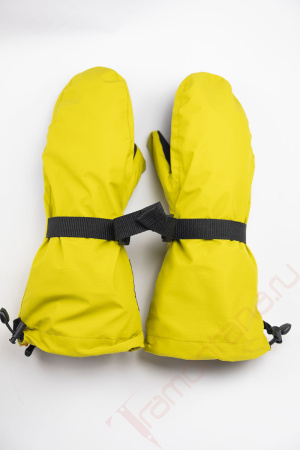 Верхонки OZONE