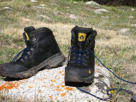 Ботинки Vasque Bitterroot GTX