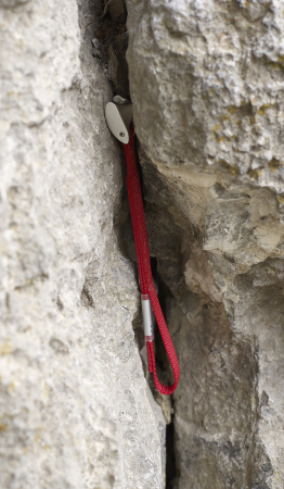 Закладной элемент CAMP TRICAM EVO N.0.25