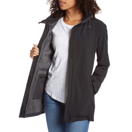 Куртка The North Face APEX FLEX GTX DISRUPTOR PARKA