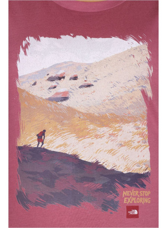 Футболка The North Face NEVER STOP EXPLORING