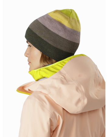 Шапка ARCTERYX Charleson