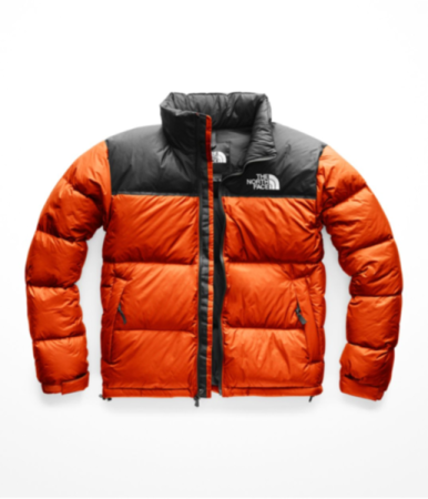 Куртка The North Face 1996 Retro Nuptse