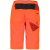 Шорты La Sportiva Bleauser