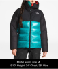 Куртка The North Face Summit L6 AW Down Belay Parka
