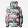 Куртка The North Face PRINTED SIERRA PARKA