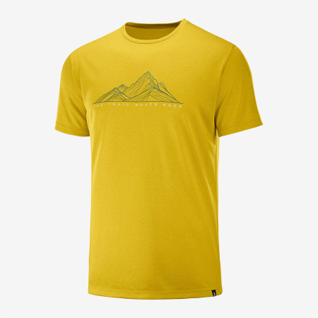 Футболка SALOMON AGILE GRAPHIC