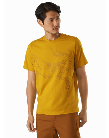 Футболка ARCTERYX Splinters