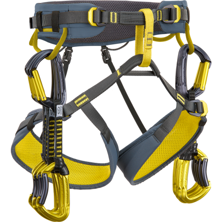 Страховочная система Climbing Technology WALL
