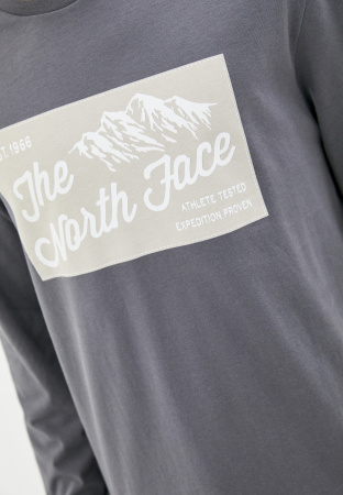Футболка The North Face IMG IDLS L/S