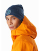 Шапка ARCTERYX Bird Patch Toque