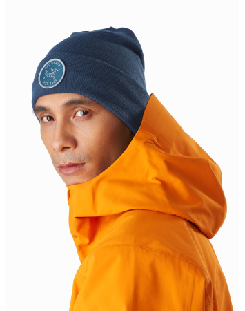 Шапка ARCTERYX Bird Patch Toque