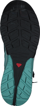 Кроссовки SALOMON TECHAMPHIBIAN 4