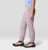 Женские легкие брюки Mountain HardWear Dynama High Rise Utility Jogger