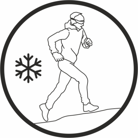 Кошки CAMP ICE MASTER RUN