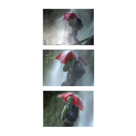 Треккинговый зонт EuroSCHIRM Birdiepal Outdoor