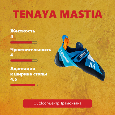 Скальные туфли TENAYA MASTIA