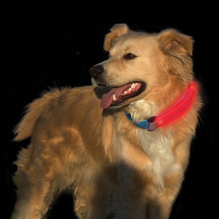 Светодиодный маркер на ошейник Nite Dawg LED Collar Cover