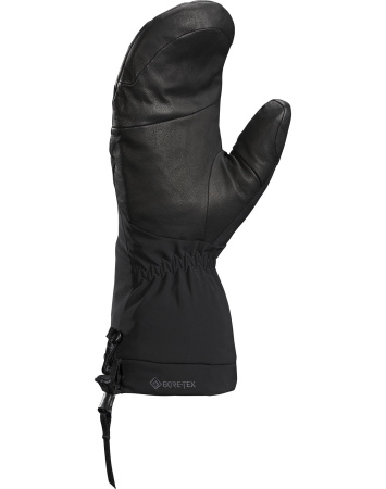 Варежки ARCTERYX Fission SV