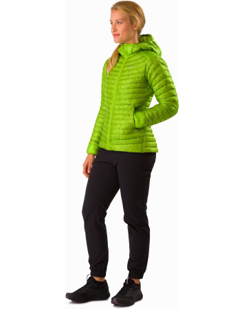 Куртка ARCTERYX Cerium SL Hoody