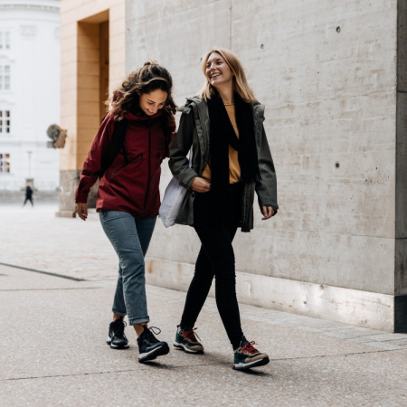 Ботинки Dachstein LINA LC GTX Ботинки Dachstein LINA LC GTX